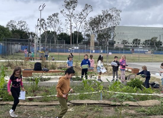 Garden-Based Learning at Da Vinci Connect TK-8