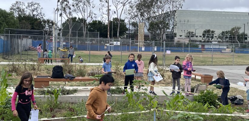 Garden-Based Learning at Da Vinci Connect TK-8